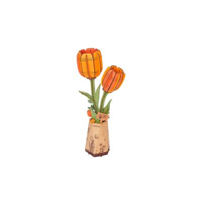 Productvisuals_Modelbouw Robotime Orange Tulip TW081